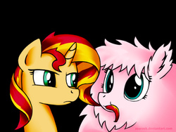 Size: 800x600 | Tagged: safe, artist:zoarvek, sunset shimmer, oc, oc:fluffle puff, pony, unicorn, g4, :t, bacon hair, biting, black background, duo, frown, glare, nom, simple background, smiling, sunset shimmer is not amused, unamused