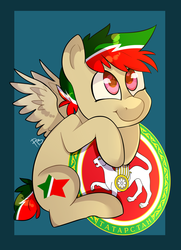 Size: 1733x2390 | Tagged: safe, artist:hfinder, oc, oc only, pony, nation ponies, ponified, solo, tatarstan