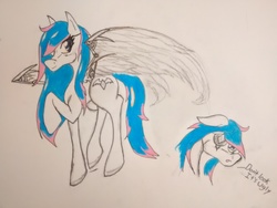 Size: 2592x1944 | Tagged: safe, oc, oc only, pegasus, pony, artificial wings, augmented, eyepatch, female, mare, mechanical wing, redesign, solo, traditional art, wings, wip