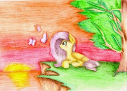 Size: 1280x916 | Tagged: safe, artist:nightstar985, fluttershy, butterfly, g4, female, folded wings, lying, lying down, pencil drawing, solo, sunset, traditional art, tree