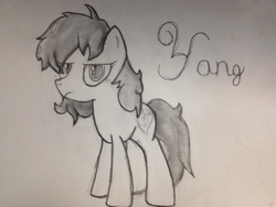 Size: 1280x960 | Tagged: safe, artist:mranthony2, pony, annoyed, looking at you, monochrome, out of character, ponified, rwby, solo, traditional art, unhappy, yang xiao long