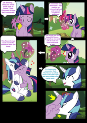 Size: 960x1360 | Tagged: safe, artist:paperlover, shining armor, twilight sparkle, alicorn, pony, comic:your best friend and best lover, g4, brother and sister, female, hug, incest, infidelity, male, mare, ship:shiningsparkle, shipping, siblings, spread wings, straight, twilight sparkle (alicorn), wingboner, wings