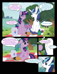 Size: 960x1235 | Tagged: safe, artist:paperlover, shining armor, twilight sparkle, alicorn, pony, comic:your best friend and best lover, g4, brother and sister, female, incest, infidelity, male, mare, ship:shiningsparkle, shipping, siblings, straight, twilight sparkle (alicorn)