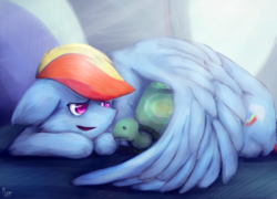 Size: 3050x2200 | Tagged: safe, artist:miarmo, rainbow dash, tank, g4, female, high res, hug, prone, solo, winghug