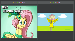 Size: 800x441 | Tagged: safe, fluttershy, derpibooru, g4, image macro, juxtaposition, meme, meta, ms paint, why