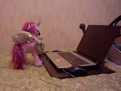 Size: 640x480 | Tagged: safe, twilight sparkle, alicorn, pony, g4, bed, computer, female, headphones, irl, mare, photo, plushie, twilight sparkle (alicorn), ty