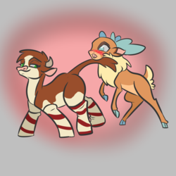 Size: 900x900 | Tagged: safe, artist:alorix, arizona (tfh), velvet (tfh), cow, deer, reindeer, them's fightin' herds, blushing, clothes, cloven hooves, community related, female, lesbian, seduction, seductive, shipping, socks, striped socks, tail seduce, velvezona, velvezona daily