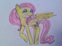 Size: 1024x768 | Tagged: safe, artist:kanaya91011, fluttershy, g4, female, solo