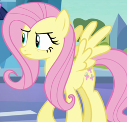 Size: 600x577 | Tagged: safe, screencap, fluttershy, pinkie pie, g4, the crystal empire, clothes, costume, disguise, female, outfit catalog, pony costume, solo