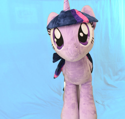 Size: 2994x2848 | Tagged: safe, artist:plushwaifus, photographer:plushwaifus, twilight sparkle, pony, unicorn, g4, cute, eyelashes, high res, hooves, horn, irl, life size, looking at you, photo, plushie, solo, standing, twiabetes