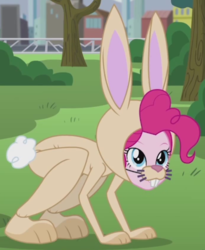Size: 693x845 | Tagged: safe, screencap, pinkie pie, human, equestria girls, g4, my little pony equestria girls: friendship games, pinkie spy (short), bunny costume, clothes, costume, female, outfit catalog, solo