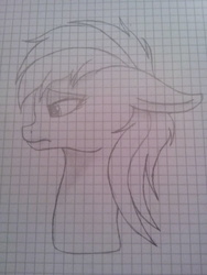 Size: 1920x2560 | Tagged: safe, artist:snowy_sprinkles, oc, oc only, drawing, fanart, graph paper, sketch, traditional art