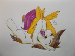 Size: 4288x3216 | Tagged: safe, artist:scribblepwn3, pipsqueak, scootaloo, earth pony, pegasus, pony, g4, pen drawing, raspberry, tickling, traditional art, tummy buzz, watercolor painting