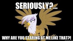 Size: 300x168 | Tagged: safe, gilda, griffon, g4, female, image macro, meme, needs more jpeg, picture for breezies, solo