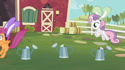 Size: 1366x768 | Tagged: safe, screencap, scootaloo, sweetie belle, family appreciation day, g4