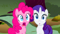 Size: 1920x1080 | Tagged: safe, screencap, pinkie pie, rarity, g4, putting your hoof down, :o, impressed, open mouth, shocked, surprised