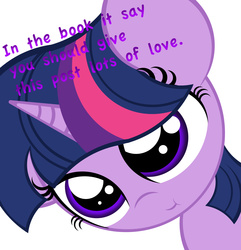 Size: 3409x3529 | Tagged: safe, artist:askshalua, twilight sparkle, pony, g4, engrish, female, high res, solo, upvote bait