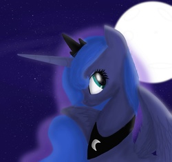 Size: 3392x3192 | Tagged: safe, artist:hippityhoppity28, princess luna, g4, female, high res, moon, night, solo