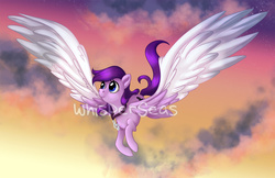 Size: 1600x1036 | Tagged: safe, artist:whisperseas, oc, oc only, pegasus, pony, necklace, solo, watermark