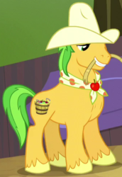 Size: 338x490 | Tagged: safe, screencap, bushel, hoss, earth pony, pony, appleoosa's most wanted, g4, apple family member, background pony, cowboy hat, cropped, hat, male, mouth hold, rope, solo, stallion