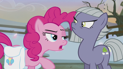 Size: 1280x720 | Tagged: safe, screencap, limestone pie, pinkie pie, g4, hearthbreakers, raised eyebrow, saddle bag, sisters