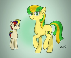 Size: 797x653 | Tagged: safe, artist:hetalianderpy, pony, brazil, duo, ecuador, nation ponies, ponified