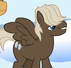 Size: 472x450 | Tagged: safe, screencap, dumbbell, hoops, pegasus, pony, g4, sonic rainboom (episode), cropped, male, solo focus, stallion