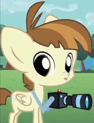 Size: 211x275 | Tagged: safe, screencap, featherweight, pegasus, pony, g4, ponyville confidential, colt, male, solo