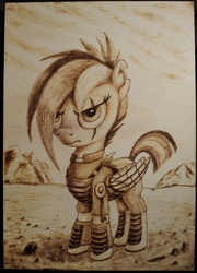 Size: 1024x1426 | Tagged: safe, artist:horseez, rainbow dash, g4, the cutie re-mark, female, pyrography, solo, woodwork