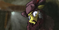 Size: 612x312 | Tagged: safe, artist:jovey4, ponified, radagast, the hobbit, tolkien