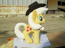 Size: 640x480 | Tagged: safe, artist:disneykitten96, applejack, g4, irl, photo, plushie, solo