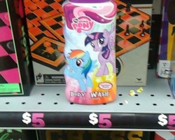 Size: 540x432 | Tagged: safe, pony, body wash, irl, photo