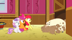 Size: 1366x768 | Tagged: safe, screencap, apple bloom, scootaloo, sweetie belle, pegasus, pig, pony, unicorn, g4, the show stoppers, cutie mark crusaders, female, filly, foal, horn