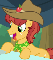 Size: 632x713 | Tagged: safe, screencap, half baked apple, earth pony, pony, apple family reunion, g4, apple family member, background pony, bucktooth, cowboy hat, cropped, hat, male, solo, stallion, stetson, tongue out