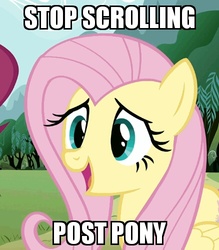 Size: 438x499 | Tagged: safe, edit, edited screencap, screencap, fluttershy, g4, female, get, image macro, index get, meme, solo