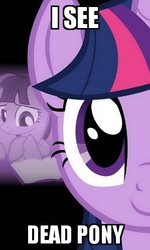 Size: 299x499 | Tagged: safe, twilight sparkle, g4, female, image macro, meme, solo, the sixth sense