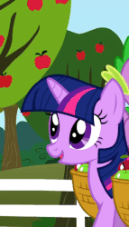Size: 308x537 | Tagged: safe, screencap, spike, twilight sparkle, dragon, pony, g4, the ticket master, animated, animation error, apple, dragons riding ponies, food, riding, spike riding twilight