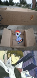 Size: 1316x2748 | Tagged: safe, rainbow dash, pegasus, pony, fanfic:my little dashie, g4, crossover, dashie meme, exploitable meme, meme, neutral people finding dash meme, seto kaiba, yu-gi-oh!