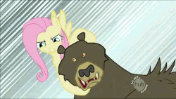 Size: 852x480 | Tagged: safe, screencap, fluttershy, harry, twilight sparkle, bear, pegasus, pony, unicorn, g4, lesson zero, animated, female, flying, hub logo, male, mare, neck snap, out of context, trio, you know for kids