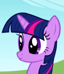 Size: 386x444 | Tagged: safe, screencap, twilight sparkle, g4, the ticket master, animated, female, reversed, solo