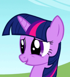 Size: 399x438 | Tagged: safe, screencap, twilight sparkle, g4, the ticket master, animated, female, reversed, solo
