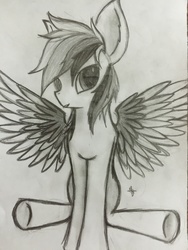 Size: 2448x3264 | Tagged: safe, artist:thewanderingtyto, rainbow dash, g4, female, high res, looking at you, monochrome, solo, traditional art