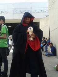 Size: 720x960 | Tagged: safe, fluttershy, g4, cloak, clothes, irl, mexico, photo, plushie, star wars