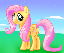 Size: 1000x829 | Tagged: safe, artist:princess-katie, fluttershy, g4, female, solo