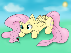 Size: 1024x768 | Tagged: safe, artist:mlp-firefox5013, fluttershy, insect, ladybug, pegasus, pony, g4, female, solo, sun