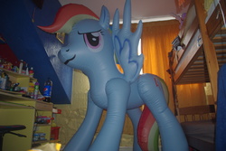 Size: 3872x2592 | Tagged: safe, rainbow dash, g4, bootleg, high res, hongyi, inflatable, irl, merchandise, photo