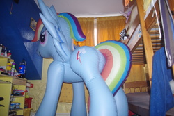 Size: 3872x2592 | Tagged: safe, rainbow dash, g4, bootleg, butt, high res, hongyi, inflatable, irl, photo, plot