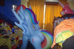Size: 3872x2592 | Tagged: safe, rainbow dash, inflatable pony, pegasus, g4, balloonicorn, bootleg, high res, hongyi, indoors, inflatable, inflatable pegasus, inflatable unicorn, irl, merchandise, opaque inflatable, photo, standing, team fortress 2