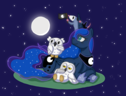 Size: 1024x785 | Tagged: safe, artist:zanefir-dran, princess luna, tiberius, owl, g4, moon