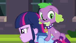 Size: 536x302 | Tagged: safe, screencap, spike, twilight sparkle, dog, equestria girls, g4, 60 fps, animated, awkward, dogs riding humans, frown, glare, humans doing horse things, loop, riding, sitting, spike riding twilight, spike the dog